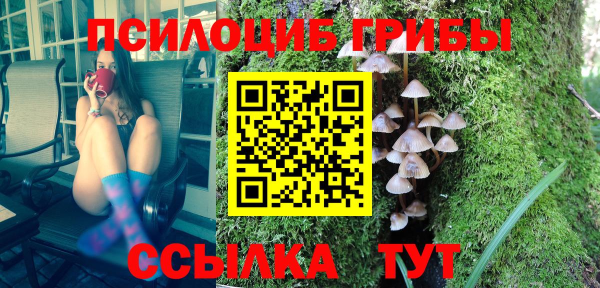 Галлюциногенные грибы прущие грибы Новокубанск